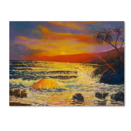 Trademark Fine Art Manor Shadian 'Maui Sunset' Canvas Art, 24x32 MA0816-C2432GG